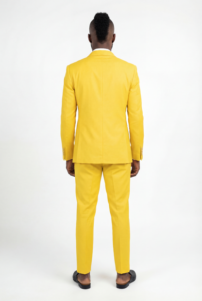 SOLAR EXECUTIVE SUIT
